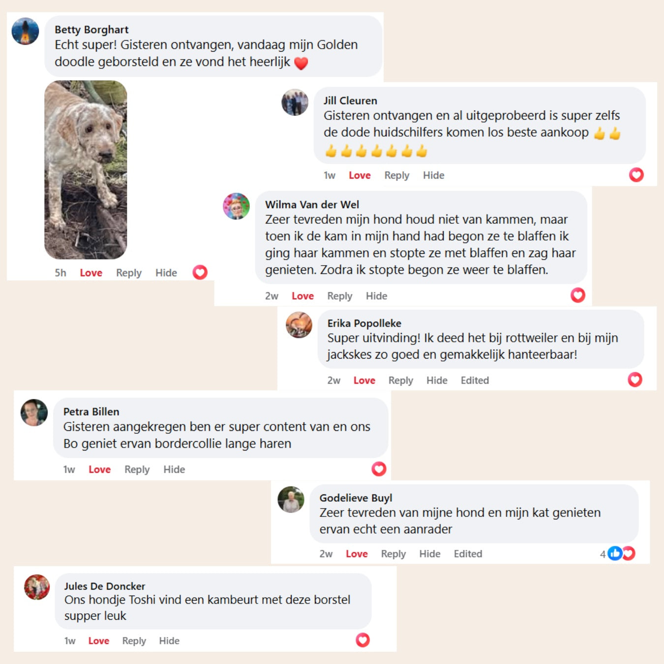 De 3-in-1 Sprayborstel Voor Een Frisse, Haarvrije Vacht
