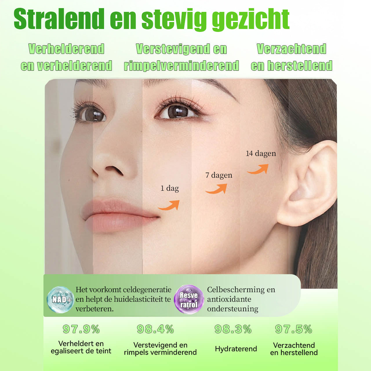 Moringa X Berberine Nano-Micronaaldpleister – Slim Afvallen & Energieboost in Één Pleister