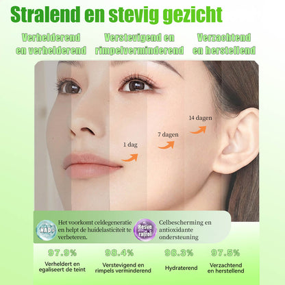 Moringa X Berberine Nano-Micronaaldpleister – Slim Afvallen & Energieboost in Één Pleister
