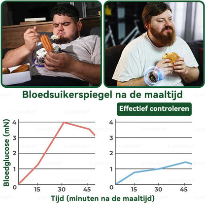 Moringa X Berberine Nano-Micronaaldpleister – Slim Afvallen & Energieboost in Één Pleister