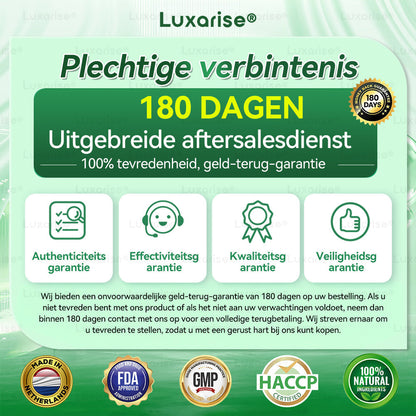 Moringa X Berberine Nano-Micronaaldpleister – Slim Afvallen & Energieboost in Één Pleister