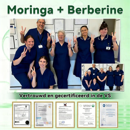 Moringa X Berberine Nano-Micronaaldpleister – Slim Afvallen & Energieboost in Één Pleister