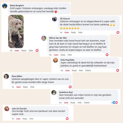 De 3-in-1 Sprayborstel Voor Een Frisse, Haarvrije Vacht