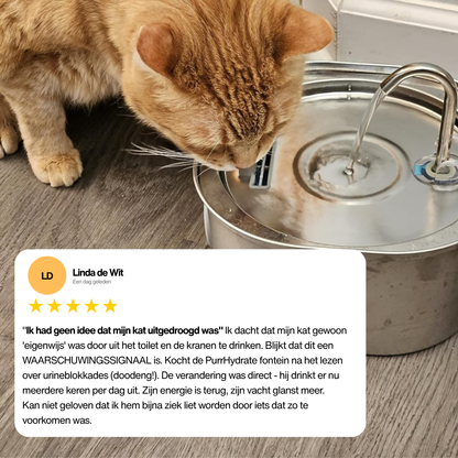 Premium Katten Drinkfontein van RVS – Stil, Hygiënisch & Gezond Drinken