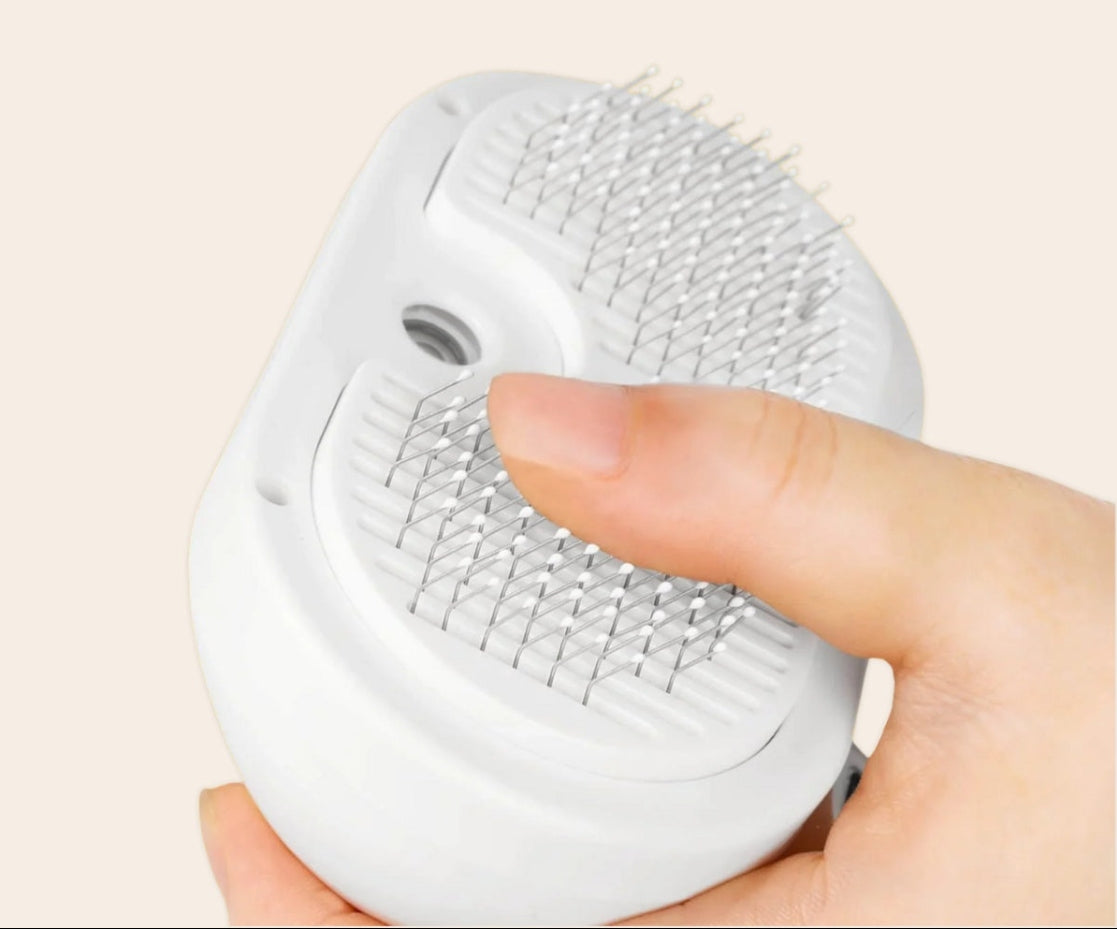 De 3-in-1 Sprayborstel Voor Een Frisse, Haarvrije Vacht
