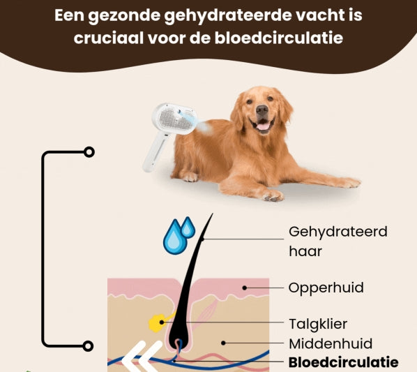 De 3-in-1 Sprayborstel Voor Een Frisse, Haarvrije Vacht