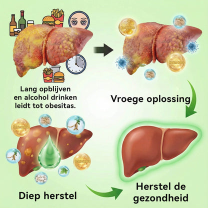 Moringa X Berberine Nano-Micronaaldpleister – Slim Afvallen & Energieboost in Één Pleister