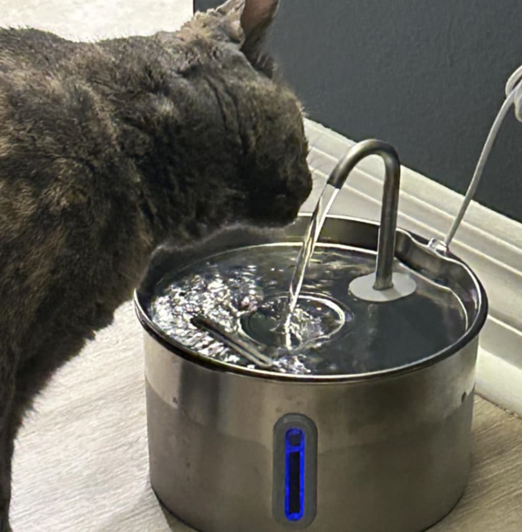 Premium Katten Drinkfontein van RVS – Stil, Hygiënisch & Gezond Drinken