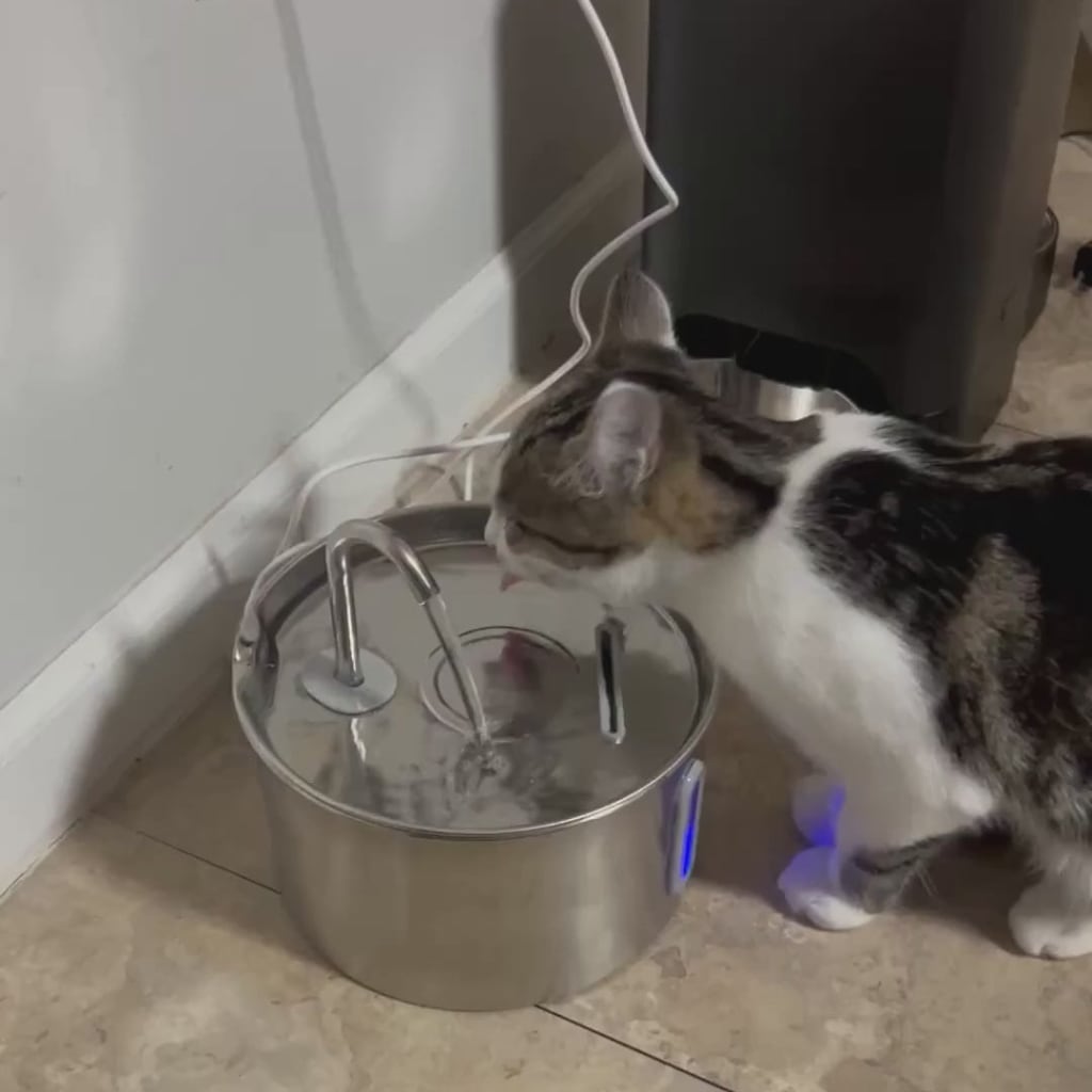 Premium Katten Drinkfontein van RVS – Stil, Hygiënisch & Gezond Drinken