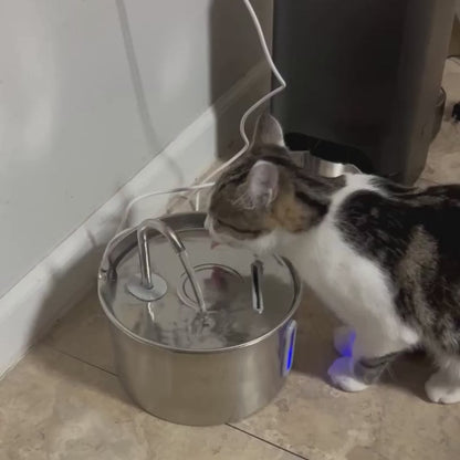 Premium Katten Drinkfontein van RVS – Stil, Hygiënisch & Gezond Drinken